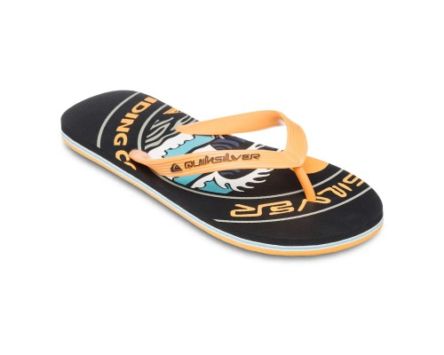 Шлепанцы QUIKSILVER MOLOKAI SCREEN