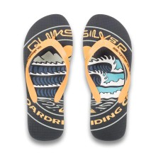 Шлепанцы QUIKSILVER MOLOKAI SCREEN