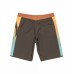 Бордшорты Quiksilver SURFSILK HOLMES 20