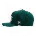 Кепка DC SEMI-PRO SNAPBACK GRW0 hunter green